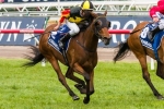 Kirramosa’s Melbourne Cup campaign starts in BenchMark 90 Handicap