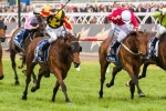 Geelong Cup fancy Zanbagh aiming towards Melbourne Cup