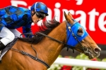 Buffering to head to Perth for the Winterbottom Stakes