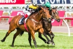 Precedence to back up in Zipping Classic