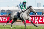 Weir keen for Puissance De Lune to begin Spring campaign