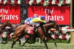 Wide barrier to suit Run Naan in C&G Blue Diamond Prelude