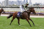 Magic Millions 2yo Classic scratching Yes Yes Yes to be saved for Blue Diamond Stakes