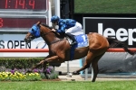 Lucky Street odds on favourite for Miss Andretti Stakes