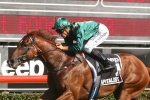 Todman Stakes favourite Capitalist the real deal