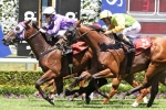 Driefontein On Top Of Magic Millions Cup Field