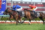Golden Slipper aspirant Vincere Volare takes on Sydneysiders in Reisling Stakes
