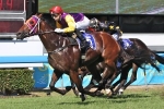 Doyle banking on lucky combination in Queensland Guineas