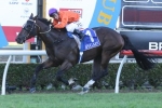 Rock Magic Ready to Perform in William Reid Stakes