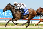 Miss Cover Girl can be competitive in Tattersall’s Club Tiara