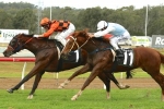 Pop ‘N’ Scotch Chasing Consistent Form in Queensland Cup