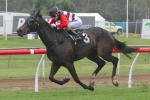 Brave Ali To Maintain Impressive Form In Caloundra Cup