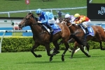 Invisbile seen as top Magic Millions chance