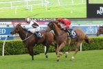 Aeronautical Back To 1400 Metres In Chester Manifold Stakes