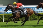 Team Hawkes to saddle up two outsiders in Doncaster Mile