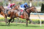 Holler earns chance at Group 1 after Australia Stakes win
