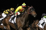 2015 William Reid Stakes Results: Boss Steers Lucky Hussler To Victory