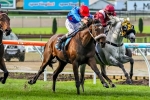 Geelong Cup Trip The Query For Wish Come True
