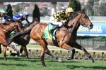 Stay With Me Takes Out Atlantic Jewel Stakes