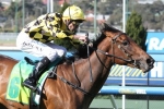 Stay With Me to overcome wide barrier in Thousand Guineas Prelude