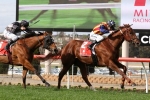 Nature Strip does his Everest chances no harm with McEwen Stakes win