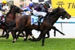 Oliver gives glowing Cox Plate report for Fiorente