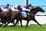 2013 Melbourne Cup: Horse Facts & Stats