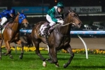 Buffering lame after Moir Stakes
