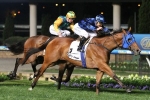 Buffering To Contest Winterbottom Stakes