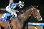 Keen Array to carry Spring form into Oakleigh Plate