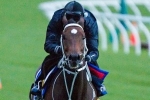 2013 Cox Plate: Mull Of Killough To Be Ridden Forward