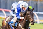 Waller Hoping Royal Descent Will Be Cox Plate Winner