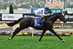 Maluckyday To Return To The Races In City Tattersalls Club Handicap