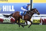 Winx in pre-training for third Cox Plate campaign