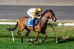 Two Jump Outs For Lankan Rupee Before Black Caviar Lightning Stakes