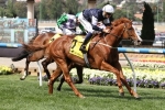 The United States Receives Big Melbourne Cup Penalty
