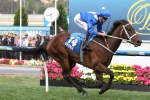 winx one of five Waller runners in 2016 Chipping Norton Stakes