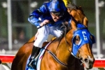 Heathcote cautious with Buffering in Challenge Stakes