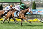 11 In Moonee Valley Gold Cup Field