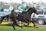 Savvy Nature Could Be Set For Doncaster Mile