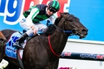 Shamus Award ready for first up win in C.F. Orr Stakes