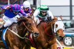 Emirates Stakes Next for Crystal Mile Winner Toydini