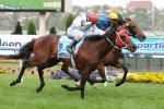 Puccini On Track For Cox Plate