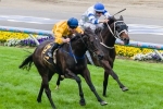 Silent Achiever Finds Support In Caulfield Cup Betting