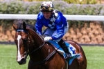 Kavanagh expects hot pace in Blue Diamond Stakes