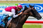 Knoydart attracts plenty of attention for Oakleigh Plate