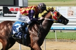 Under The Louvre given top weight in Sir Rupert Clarke Stakes