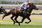 Memsie Stakes bound Hey Doc to resume in Aurie’s Star Handicap