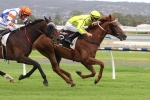 Taiyoo can handle 3200m of Adelaide Cup