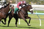 2014 Adelaide Cup Tips: Distillation A Big Chance